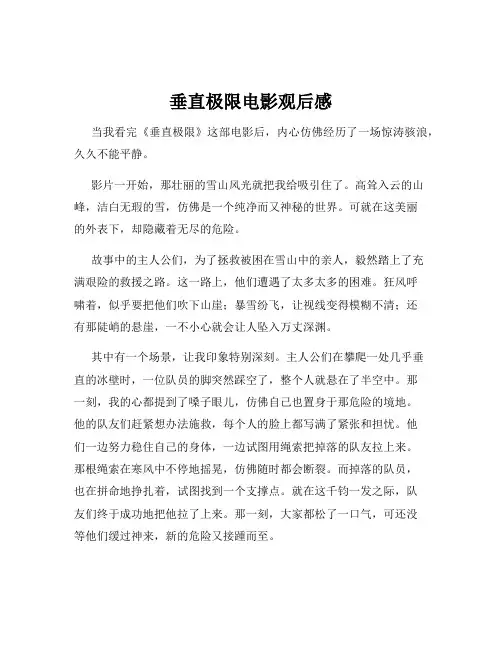 垂直极限电影观后感