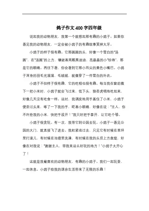 鸽子作文400字四年级