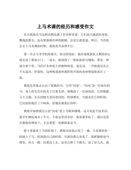 上马术课的经历和感受作文