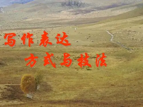 表达方式学习与运用