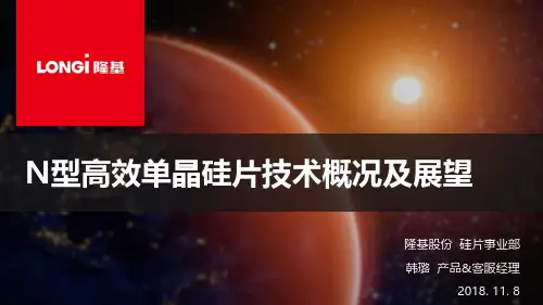 0049.N型高效单晶硅片技术概况及展望-韩璐