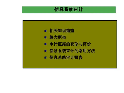 信息系统审计(ppt 67)