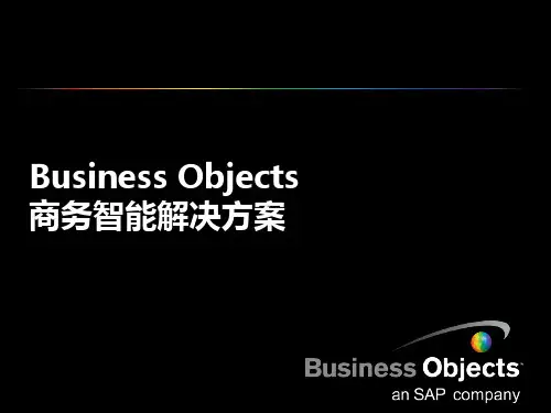 SAP-BOBJ项目介绍PPT课件