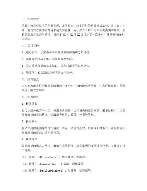 小河中常见藻类实习报告