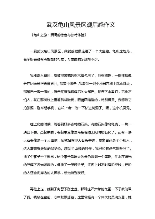 武汉龟山风景区观后感作文