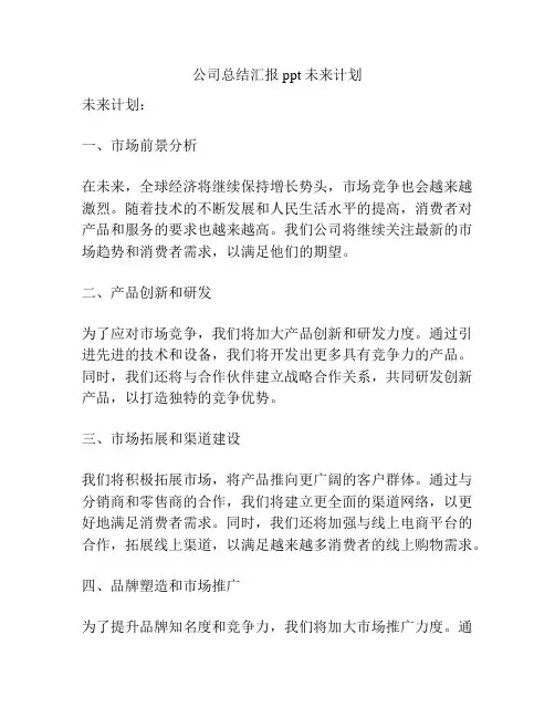 公司总结汇报ppt未来计划