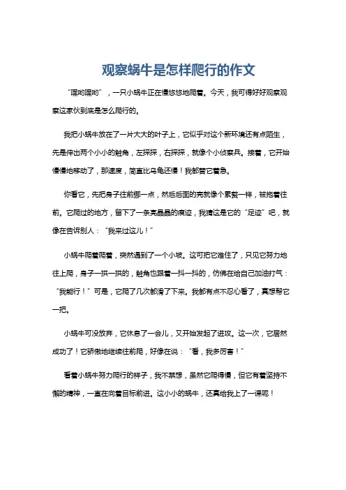 观察蜗牛是怎样爬行的作文
