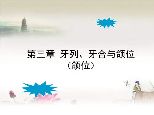 口腔解剖学牙列、牙合与颌位 PPT