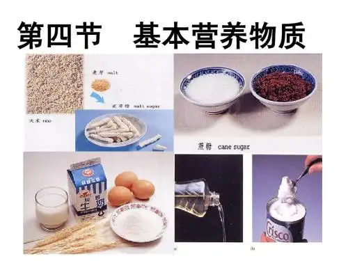 高中化学必修二糖类精品课件