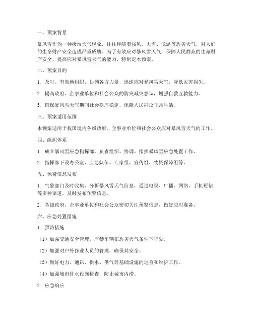 暴风雪安全应急预案