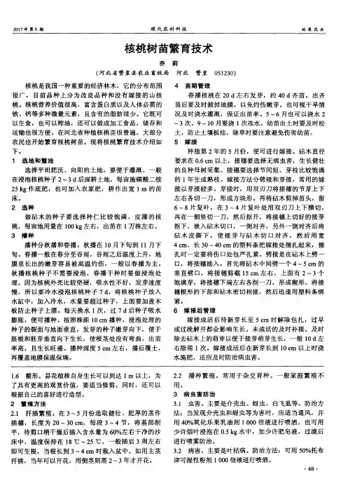 核桃树苗繁育技术
