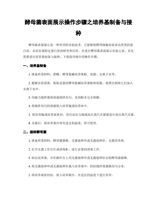 酵母菌表面展示操作步骤之培养基制备与接种
