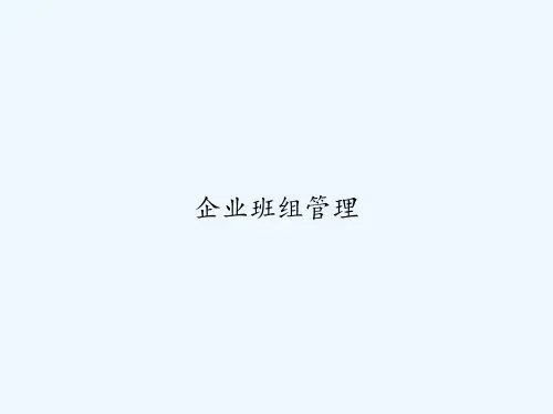 企业班组管理 PPT