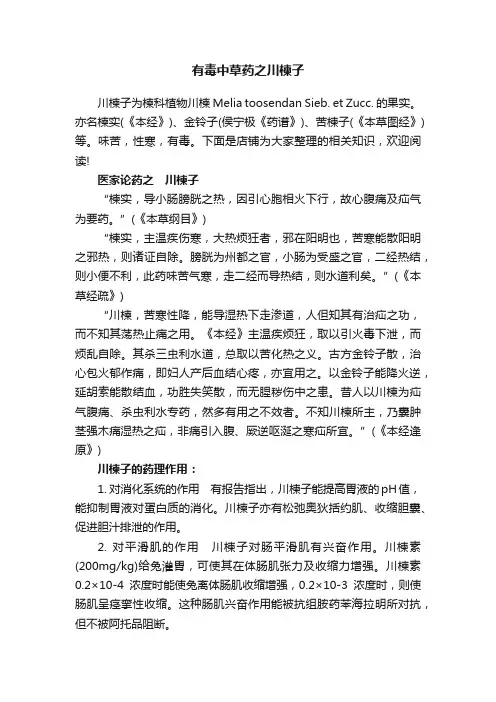 有毒中草药之川楝子