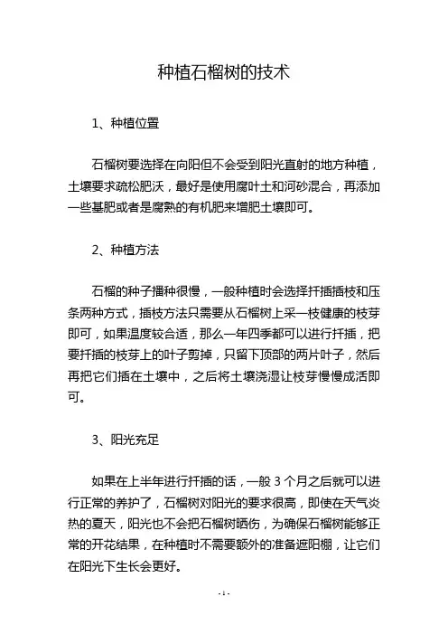 种植石榴树的技术