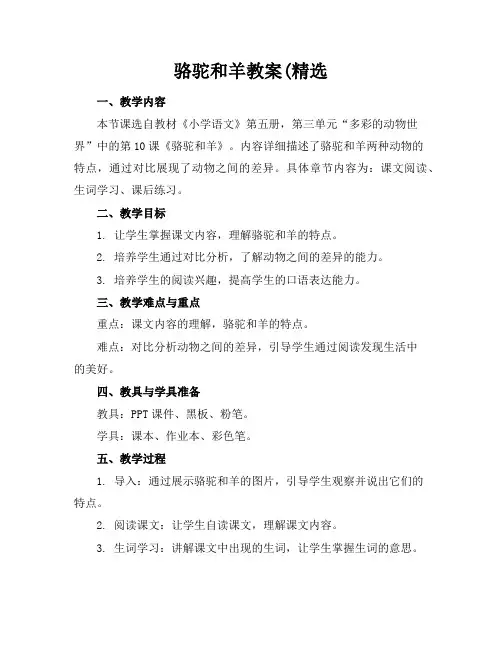 骆驼和羊教案
