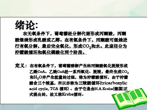 三羧酸循环