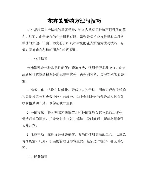 花卉的繁殖方法与技巧