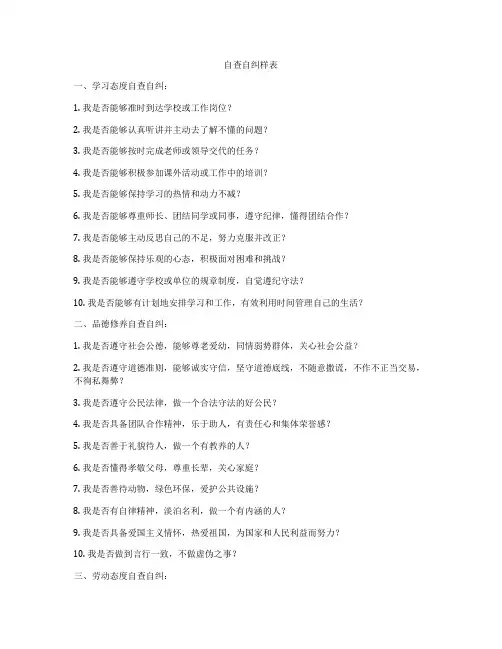自查自纠样表