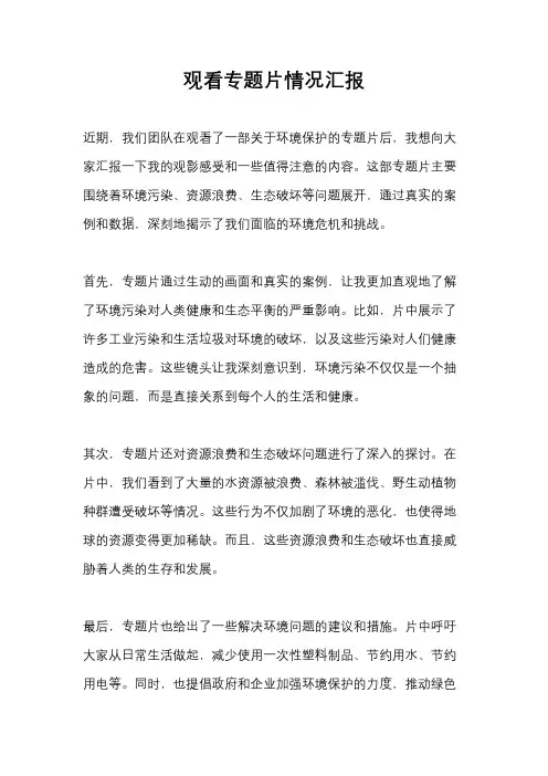 观看专题片情况汇报