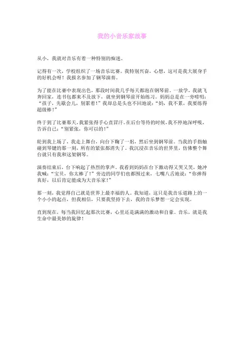 我的小音乐家故事