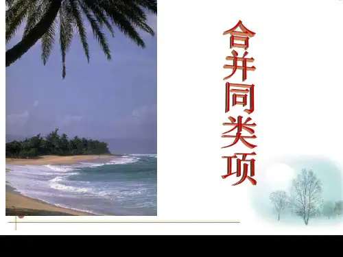 华师版初一数学合并同类项1