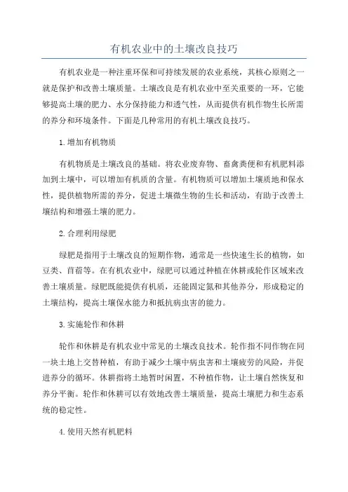 有机农业中的土壤改良技巧