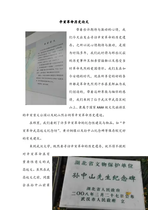 辛亥革命历史论文