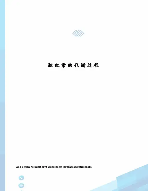 胆红素的代谢过程