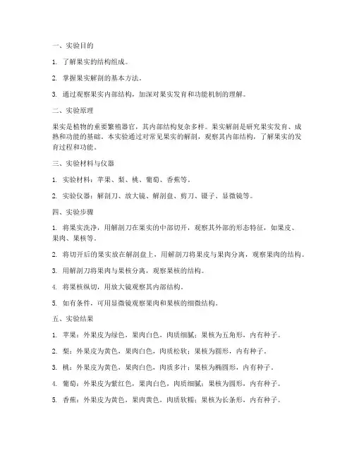 果实解剖实验报告