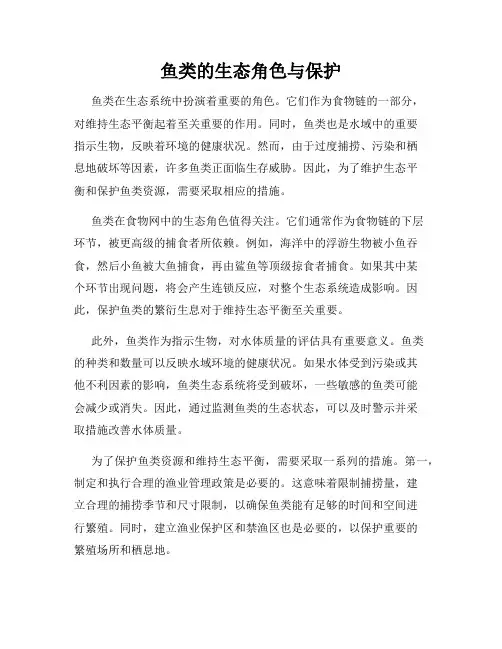 鱼类的生态角色与保护