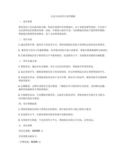 公益方向项目计划书模板
