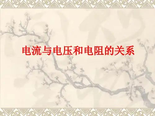 欧姆定律(22张PPT)精品课件