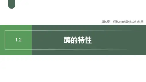 酶的特性ppt课件