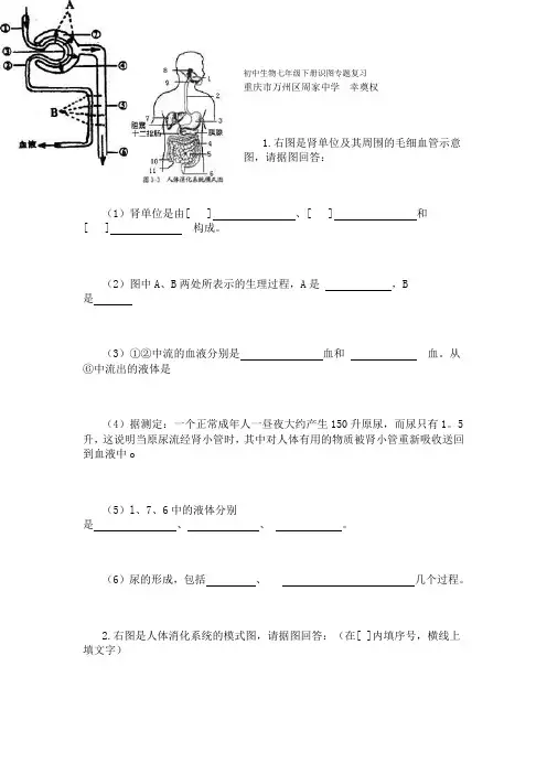 初中生物七年级下册识图专题复习