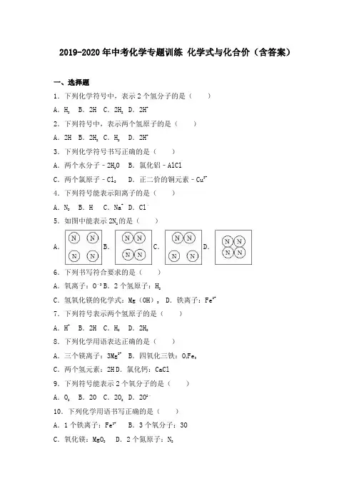 2019-2020年中考化学专题训练 化学式与化合价(含答案)