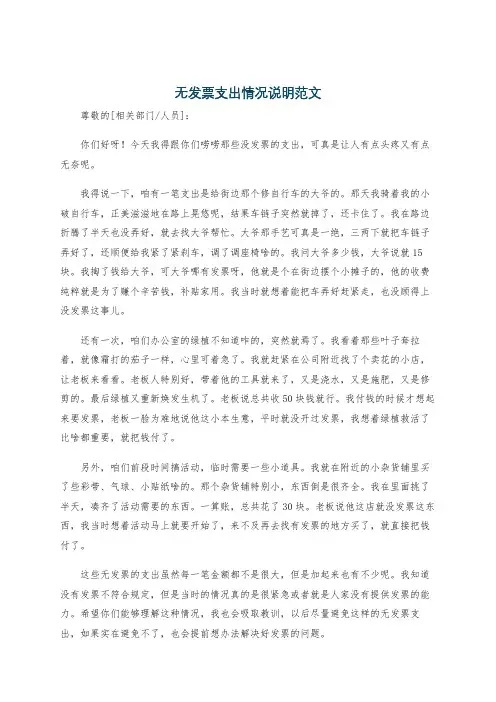 无发票支出情况说明范文