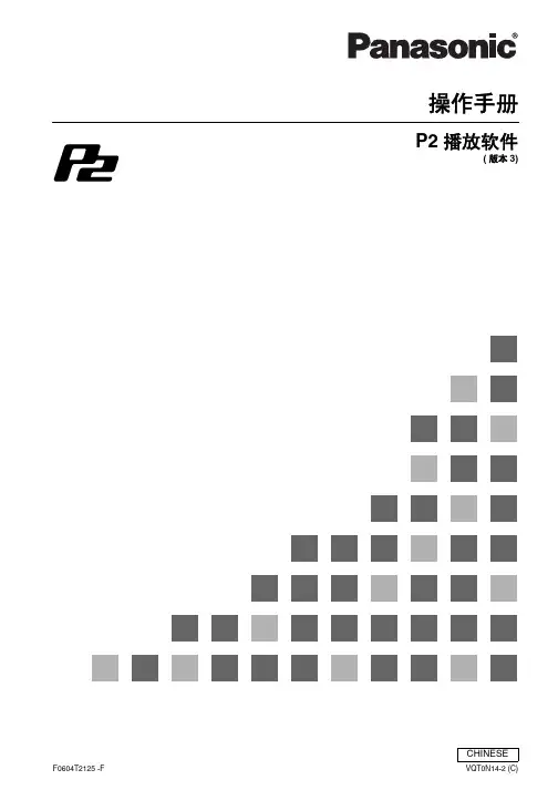 松下 P2播放软件 说明书