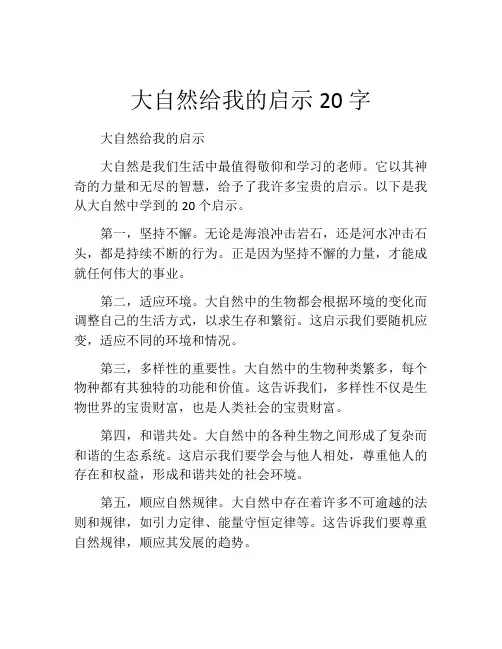 大自然给我的启示20字