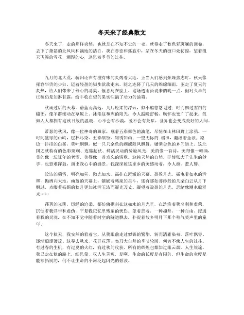 冬天来了经典散文