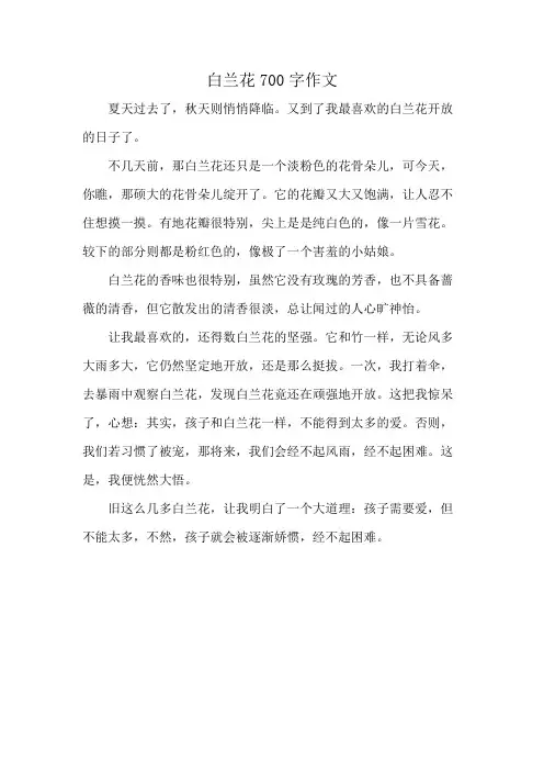 白兰花700字作文