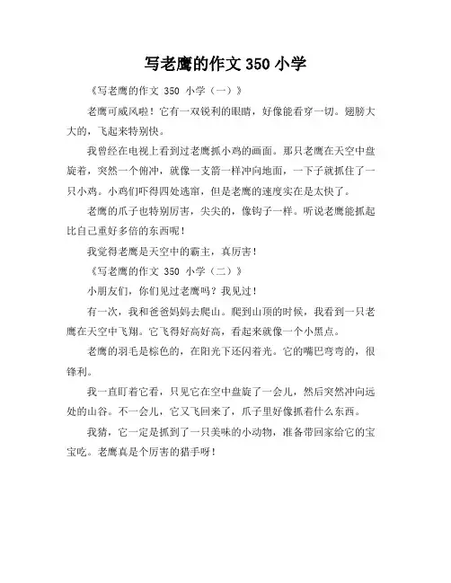 写老鹰的作文350小学