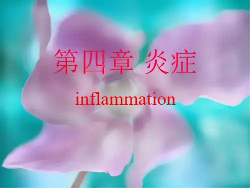 病理学第四章-炎症ppt课件