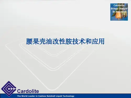 腰果壳油改性胺技术和应用的讲座(更新版)