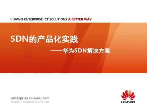 华为SDN解决方案