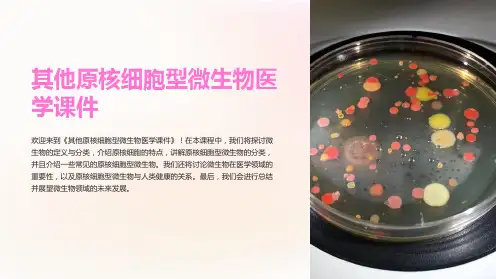 其他原核细胞型微生物医学课件