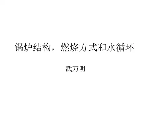 锅炉结构燃烧方式和水循环