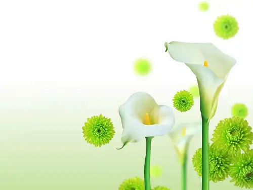 第六节眼睛与视力矫正