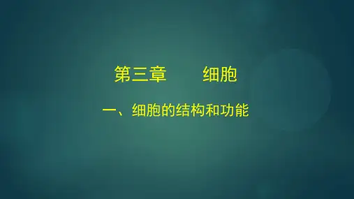 北师大版七年级上册2.3.1显微镜的使用课件(55张ppt)