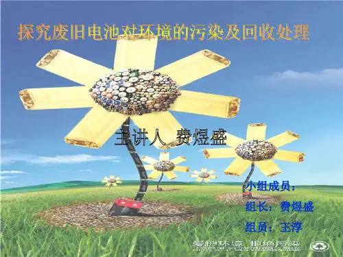 研究性学习《探究废旧电池的回收及处理》